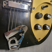 1982 Rickenbacker 325