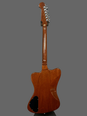 2002 Gibson Firebird - Non Reverse
