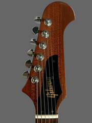 2002 Gibson Firebird - Non Reverse