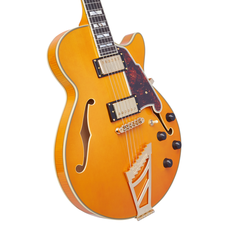 D'Angelico Excel SS – Jimmy Wallace Guitars