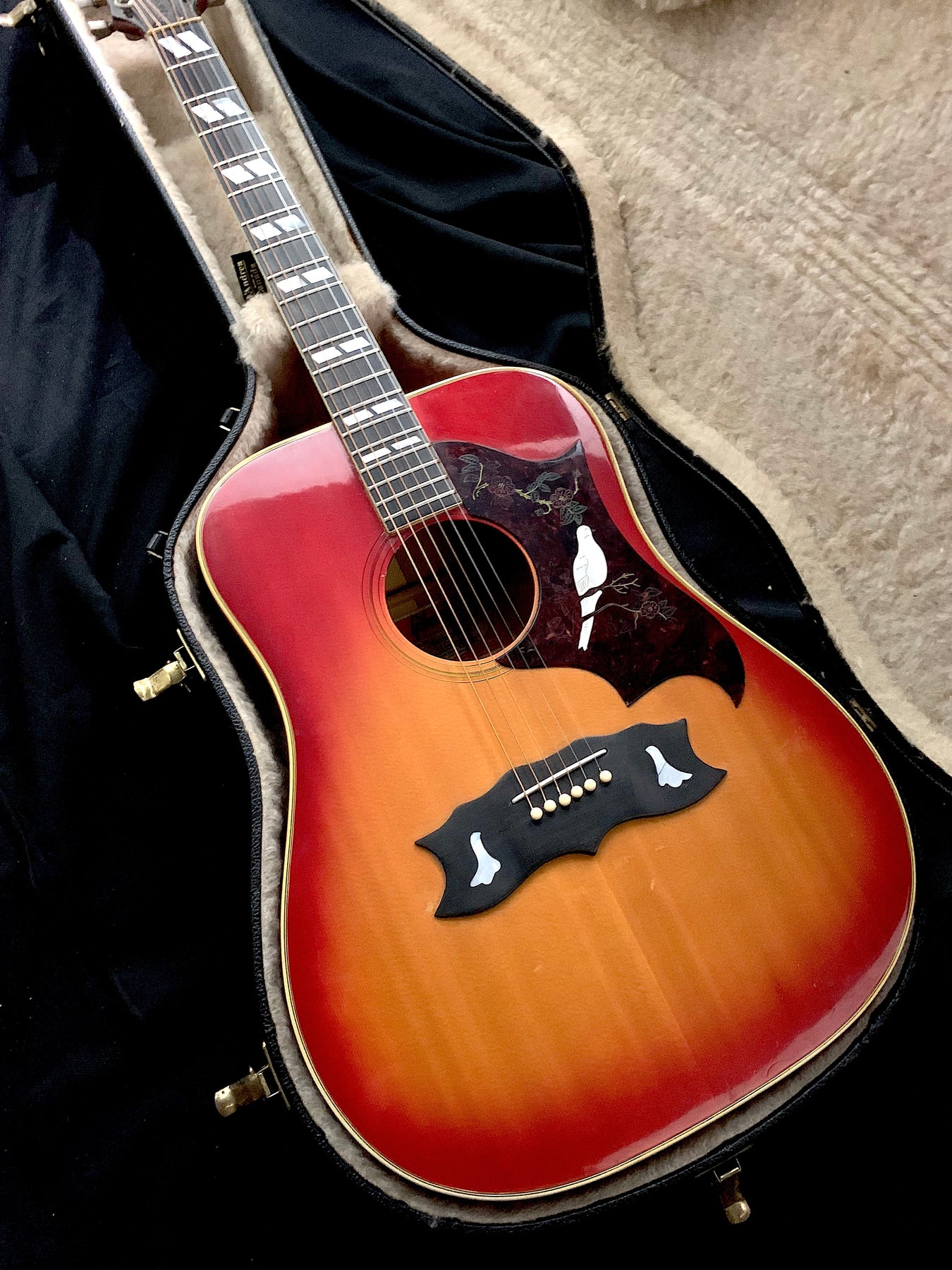 1973 Gibson Dove