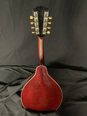 1920's Era Gibson A4 Mandolin