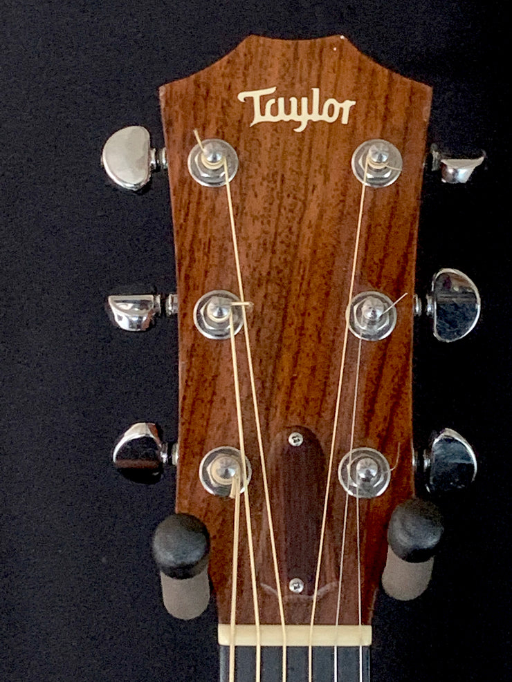 Taylor 310